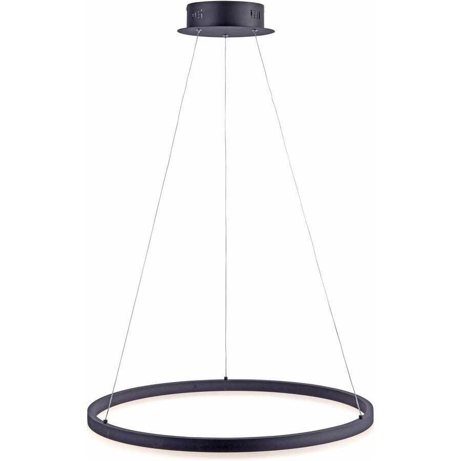 LED-Pendelleuchte 46 W EEK: LED (A++ - E) Warm-Weiß Paul Neuhaus TITUS 2382-13 Anthrazit