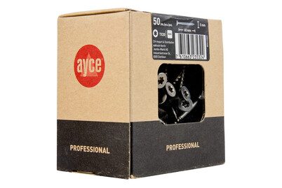 AYCE SK Spannplattenschraube inox