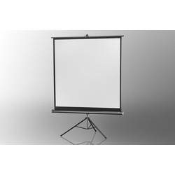 Celexon Eco Stativ 1:1 (244x244cm) Stativleinwand