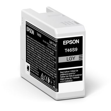 Epson Tintenpatrone T46S900 light gray