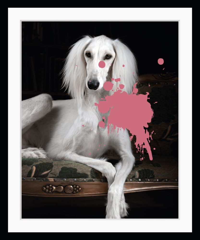 queence Bild »Helena 2.0«, Hunde, Farbklecks, Hund, gerahmt, Pudel