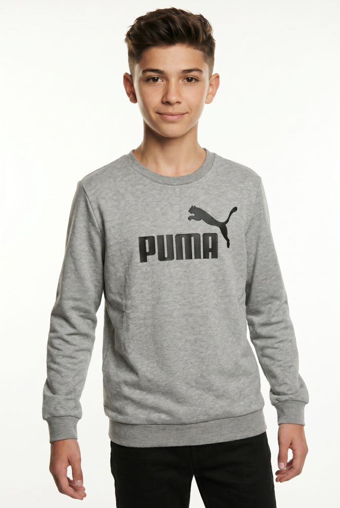 PUMA Sweatshirt »ESS NO. 1 LOGO CREW TR B«