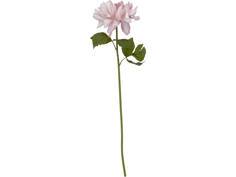 Kunstblume PINA