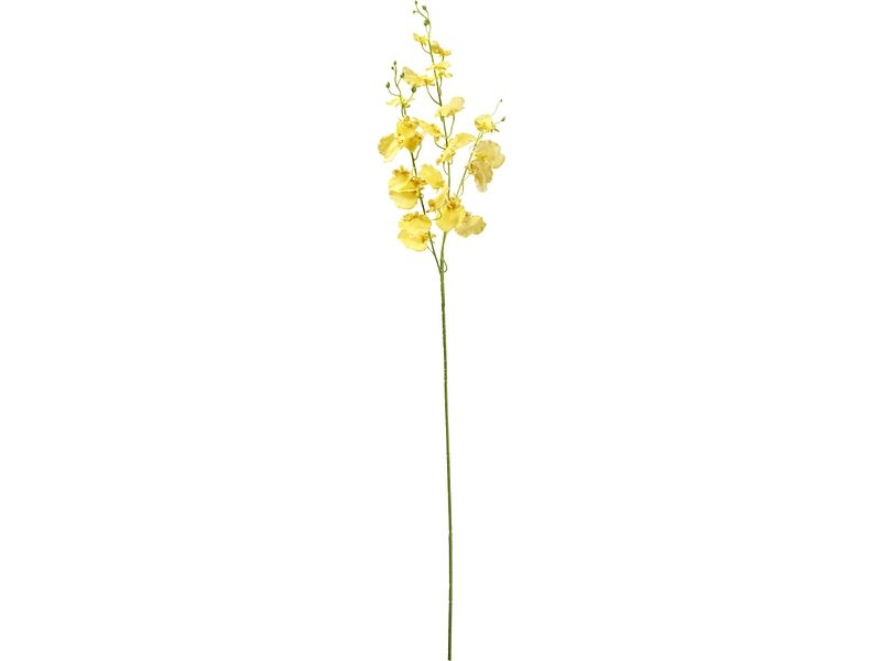 Kunstblume LÉONA