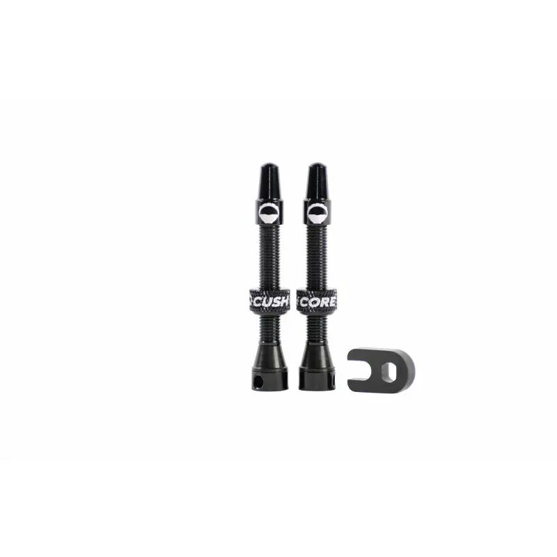 CushCore Ventil Tubeless