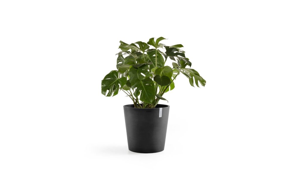 Ecopot Amsterdam Pflanzentopf