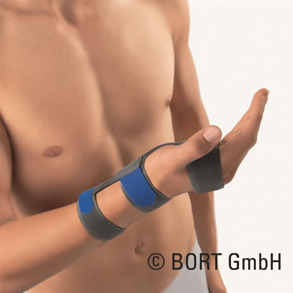 bort Volare CTS Schiene rechts L -21cm blau (1 Stück)