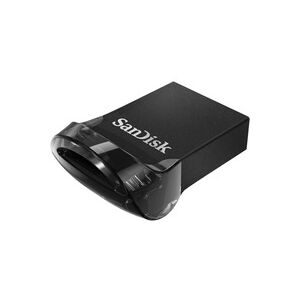 SanDisk USB-Stick 3.1 256 GB