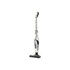 Dual Force 2-in-1 RH6737, Stielstaubsauger