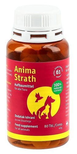 Anima Strath Aufbautabletten (80 Stk)