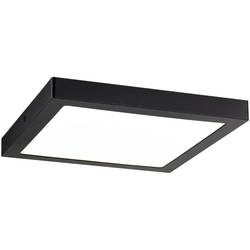 PAULMANN LED-Panel-Deckenleuchte ABIA