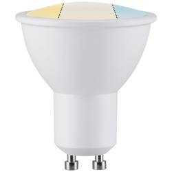 Paulmann LED-Reflektor GU10 5,9W CCT WhiteSwitch