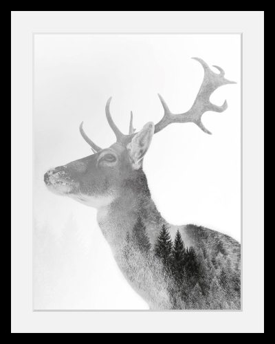 undefined, Bild »Hirsch«