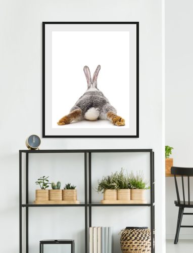 QUEENCE, queence Bild »Bunny Tail«, Hase, (1 St.)