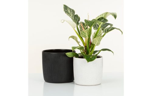 Scheurich, scheurich Blumentopf Ebano Solido Linea 19.3 cm, Schwarz