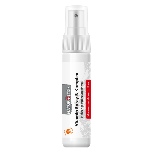 NATURSTEIN, NATURSTEIN Vitamin B-Komplex Spray (25 ml)