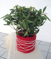 Winterschutzmatte aus Schafwolle ´rot´ 200x20 cm (200 x 20 cm)