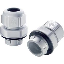 LAPP SKINTOP® CLICK 20 Kabelverschraubung M20 Polyamid Lichtgrau (RAL 7035) 1 St.