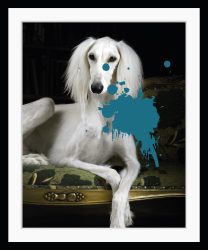 queence Bild »Helena 3.0«, Hunde, gerahmt, Hund, Farbklecks, Pudel