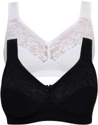 Set: BH, Susa (2 Stck.)