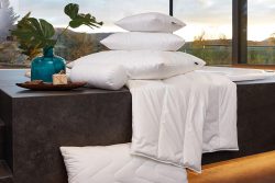 undefined, Centa-Star extra Vier-Jahreszeiten-Bett