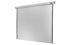 Celexon Motorleinwand Pro 174 cmx98 cm