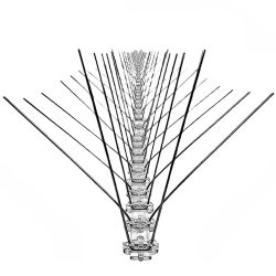 Spikes zur Taubenabwehr, mit Edelstahl-Spitzen, 2,5 m